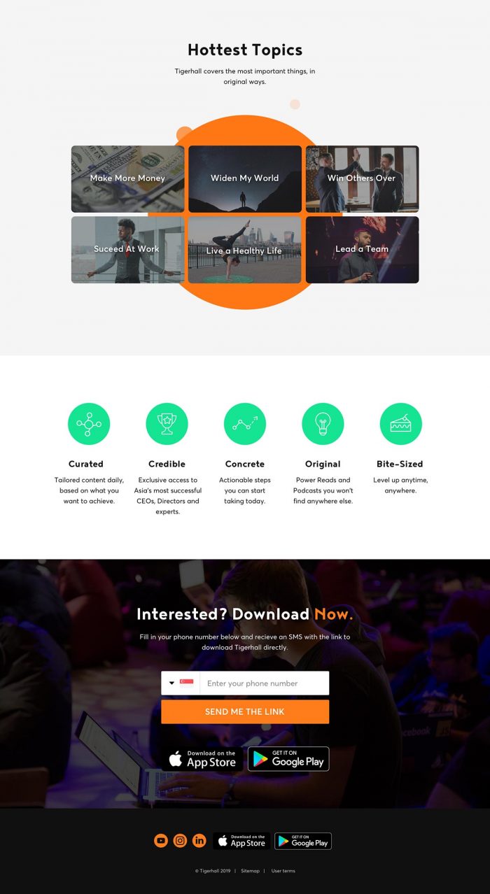 tigerhall web design